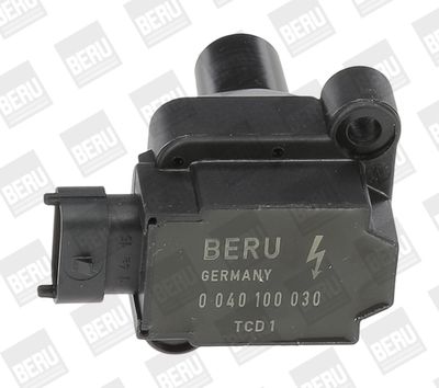 BorgWarner (BERU) ZS030