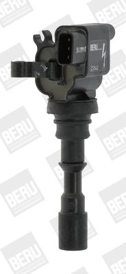 BorgWarner (BERU) ZS542