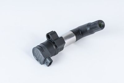 BorgWarner (BERU) ZSE254