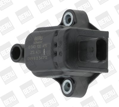BorgWarner (BERU) ZS439