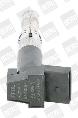 BorgWarner (BERU) ZSE065