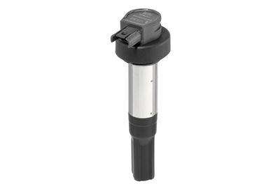 BorgWarner (BERU) ZSE227