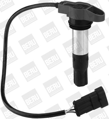 BorgWarner (BERU) ZSE130