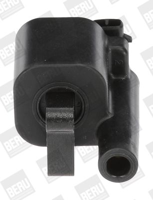 BorgWarner (BERU) ZS507