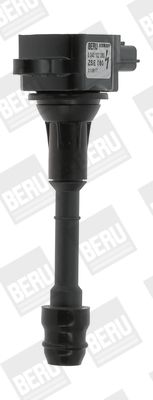 BorgWarner (BERU) ZSE080