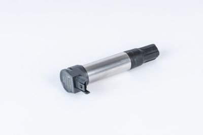 BorgWarner (BERU) ZSE255