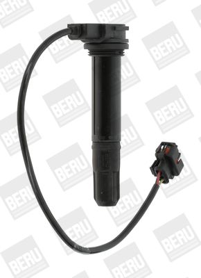 BorgWarner (BERU) ZS378