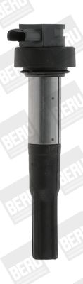 BorgWarner (BERU) ZS386