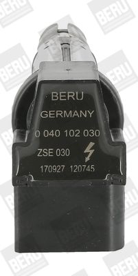 BorgWarner (BERU) ZSE030