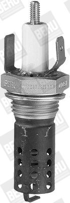 BorgWarner (BERU) GH30 BorgWarner (BERU) GH30