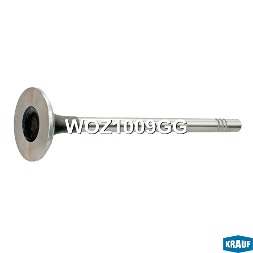 KRAUF WOZ1009GG