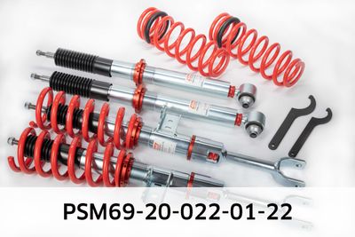 EIBACH PSM69-20-022-01-22