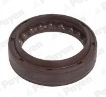 PAYEN NJ962 PAYEN NJ962