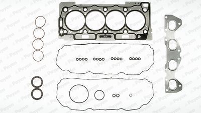 PAYEN CD5180