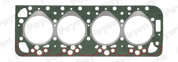 PAYEN BP910 PAYEN BP910