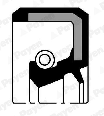 PAYEN NJ611 PAYEN NJ611