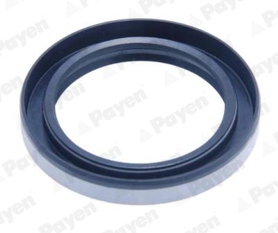 PAYEN NJ892 PAYEN NJ892