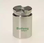 BUDWEG CALIPER 233010