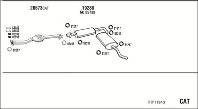 WALKER FIT11843