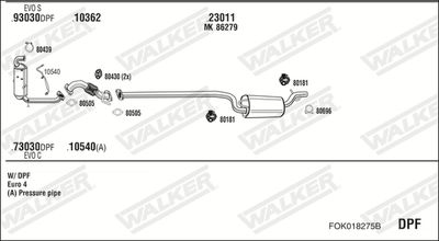 WALKER FOK018275B