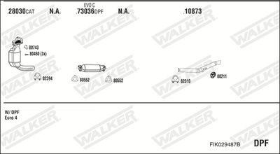 WALKER FIK029487B