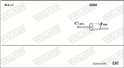WALKER DCK018979