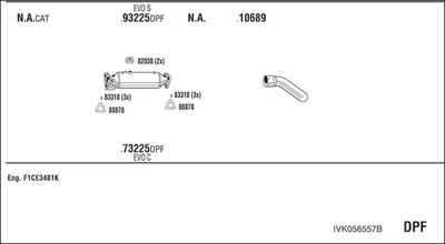 WALKER IVK056557B
