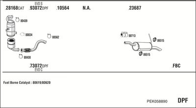 WALKER PEK058890