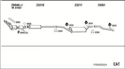 WALKER FOK022524