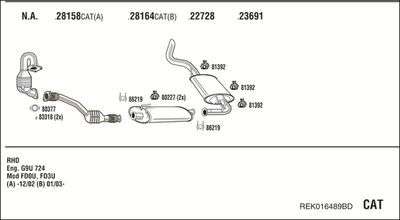 WALKER REK016489BD