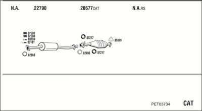 WALKER PET03734