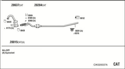 WALKER CIK020037A