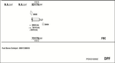 WALKER PEK018992