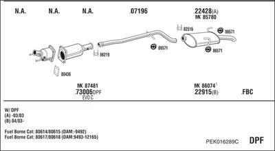 WALKER PEK016289C