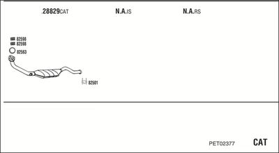 WALKER PET02377