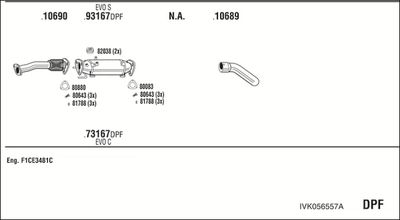 WALKER IVK056557A