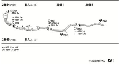 WALKER TOK022467AA