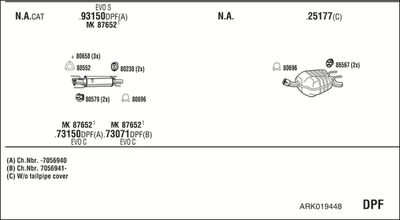 WALKER ARK019448