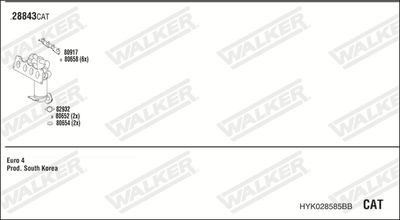 WALKER HYK028585BB