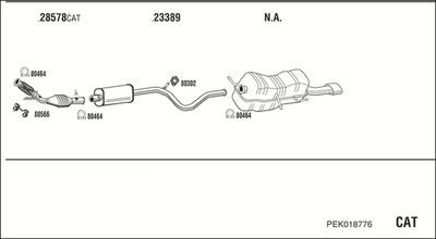 WALKER PEK018776