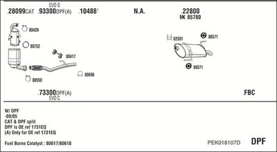 WALKER PEK018107D