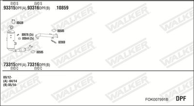 WALKER FOK007991B