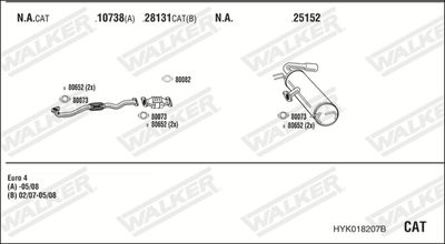 WALKER HYK018207B