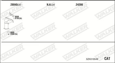 WALKER SZK019549
