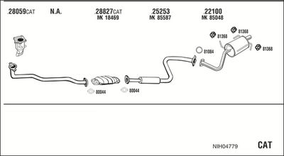 WALKER NIH04779