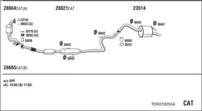 WALKER TOK019255A