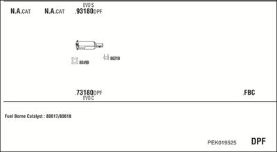 WALKER PEK019525