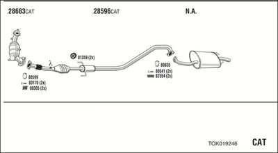 WALKER TOK019246