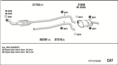 WALKER PET07869B