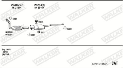 WALKER CIK013181AA